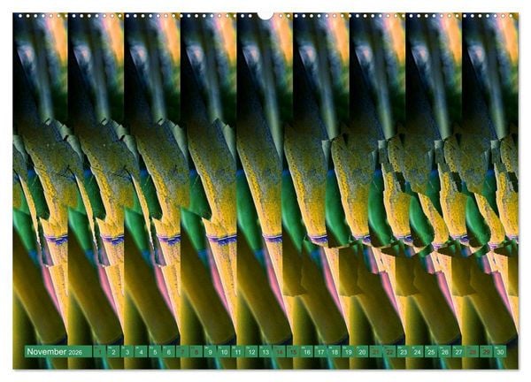 Produktbild: Magische Bilder - fantastische Stereogramme (Wandkalender 2026 DIN A2 quer), CALVENDO Monatskalender