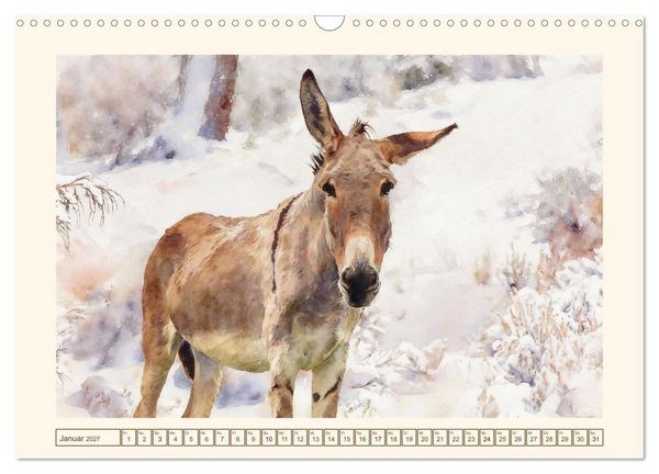 Produktbild: Esel - Treue Begleiter seit &uuml;ber 5000 Jahren (Wandkalender 2027 DIN A3 quer), CALVENDO Monatskalender