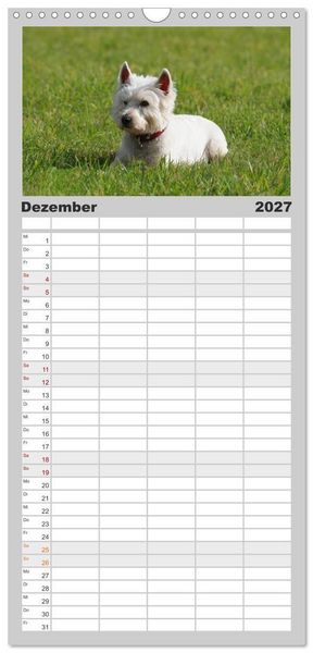Produktbild: Familienplaner 2027 - West Highland White Terrier - Selbstbewustes Powerpaket - der Westie mit 5 Spalten (Wandkalender, 21 x 45 cm) CALVENDO
