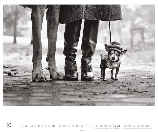Produktbild: Magnum Photos - Elliott Erwitt Kalender 2027