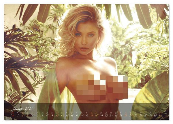 Produktbild: Jungle Fever (Tischkalender 2026 DIN A5 quer), CALVENDO Monatskalender