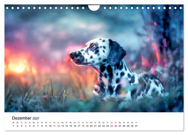Produktbild: Dalmatiner - Mehr als nur Punkte! (Wandkalender 2027 DIN A4 quer), CALVENDO Monatskalender