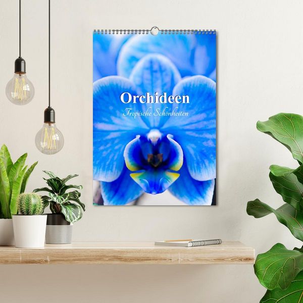 Produktbild: Orchideen - Tropische Sch&ouml;nheiten (Wandkalender 2026 DIN A3 hoch), CALVENDO Monatskalender