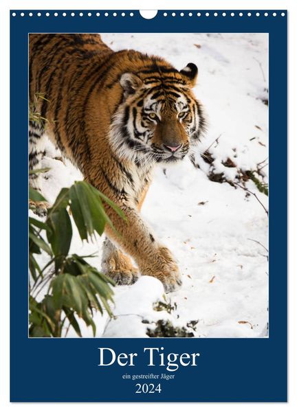 Der Tiger - ein gestreifter Jäger (Wandkalender 2024 DIN A3 hoch), CALVENDO Monatskalender