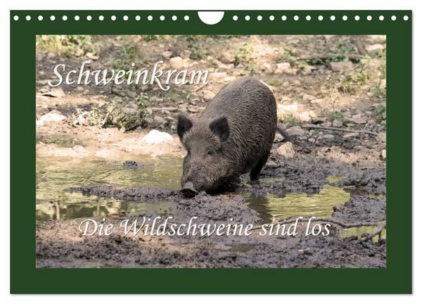 Produktbild: Schweinkram - Die Wildschweine sind los (Wandkalender 2027 DIN A4 quer), CALVENDO Monatskalender