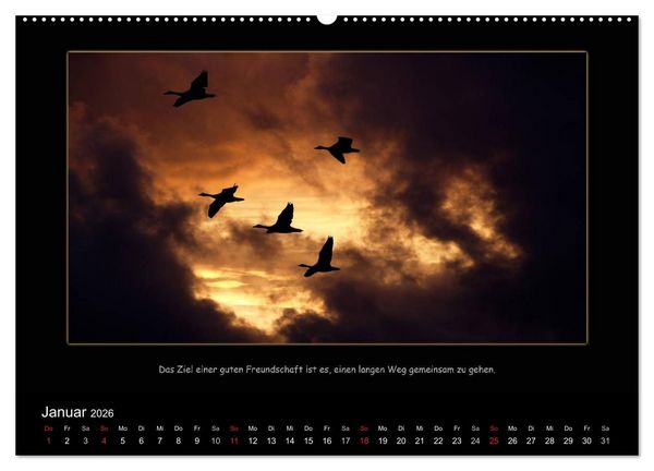 Produktbild: Freundschaft (Wandkalender 2026 DIN A2 quer), CALVENDO Monatskalender