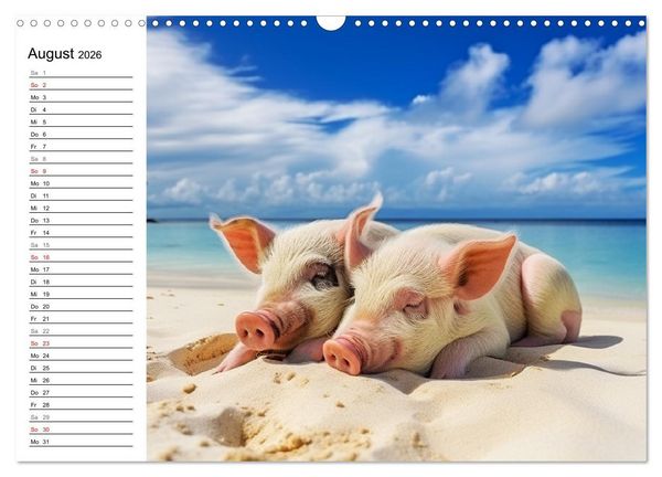 Produktbild: Schweinereien in der Karibik. Sonne und Spa&szlig; mit schwimmenden Schweinen (Wandkalender 2026 DIN A3 quer), CALVENDO Monatskalender