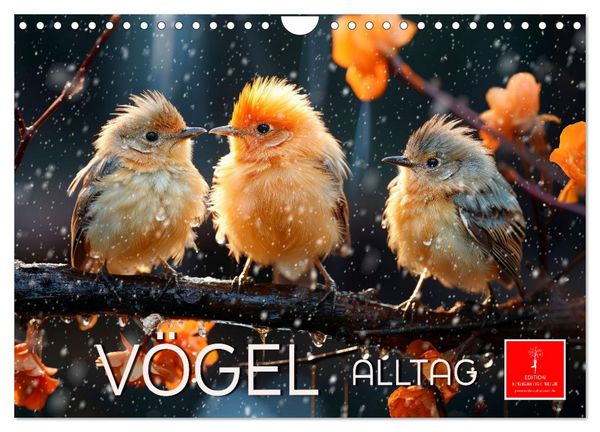 Produktbild: V&ouml;gel Alltag (Wandkalender 2026 DIN A4 quer), CALVENDO Monatskalender