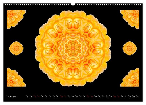 Produktbild: ROSEN MANDALAS (hochwertiger Premium Wandkalender 2027 DIN A2 quer), Kunstdruck in Hochglanz