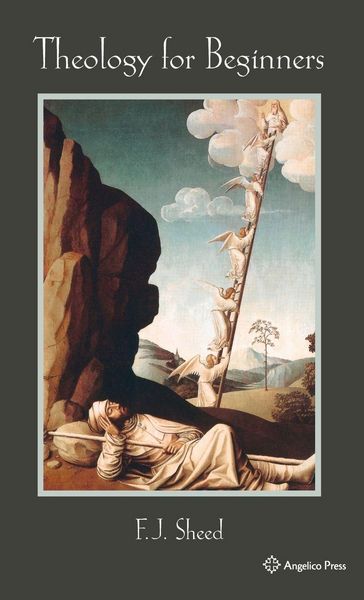 Produktbild: Theology for Beginners