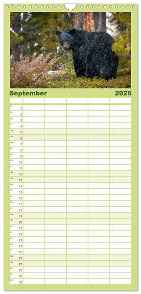 Produktbild: Familienplaner 2026 - Wildtierkalender mit 5 Spalten (Wandkalender, 21 x 45 cm) CALVENDO
