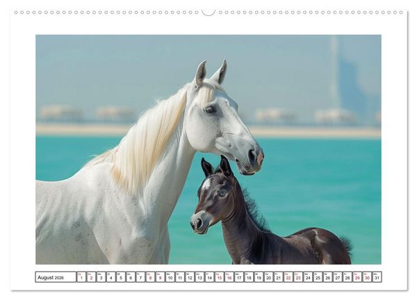 Produktbild: Bezaubernde Eleganz wei&szlig;er Pferde (hochwertiger Premium Wandkalender 2026 DIN A2 quer), Kunstdruck in Hochglanz