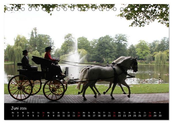 Produktbild: CIAT - Historischer Fahrsport in Celle (Tischkalender 2026 DIN A5 quer), CALVENDO Monatskalender