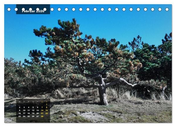 Produktbild: Texel Insel mit Charakter (Tischkalender 2026 DIN A5 quer), CALVENDO Monatskalender