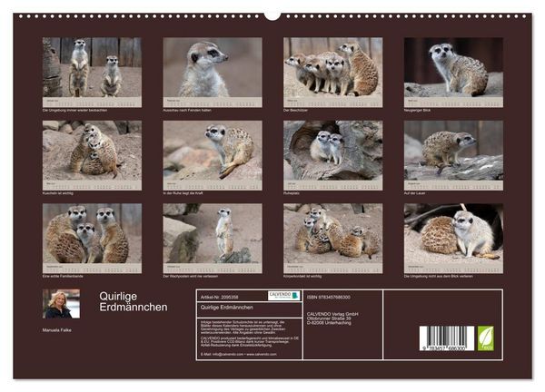 Produktbild: Quirlige Erdm&auml;nnchen (hochwertiger Premium Wandkalender 2026 DIN A2 quer), Kunstdruck in Hochglanz