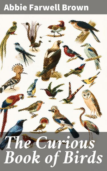 Produktbild: The Curious Book of Birds