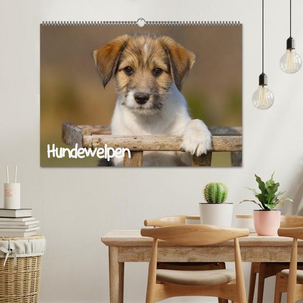 Produktbild: Hundewelpen (Wandkalender 2026 DIN A2 quer), CALVENDO Monatskalender