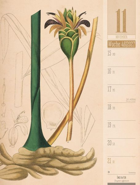 Produktbild: Culinarium Wochenplaner Kalender 2027 | K&uuml;che, Kr&auml;uter, Kurioses
