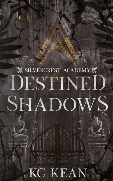 Produktbild: Destined Shadows