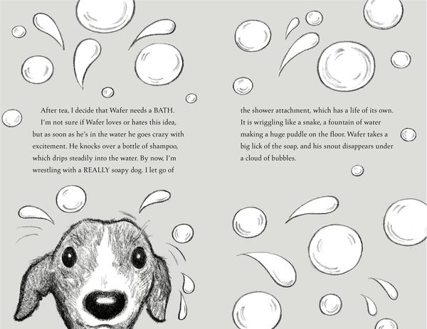 Produktbild: The Newshound