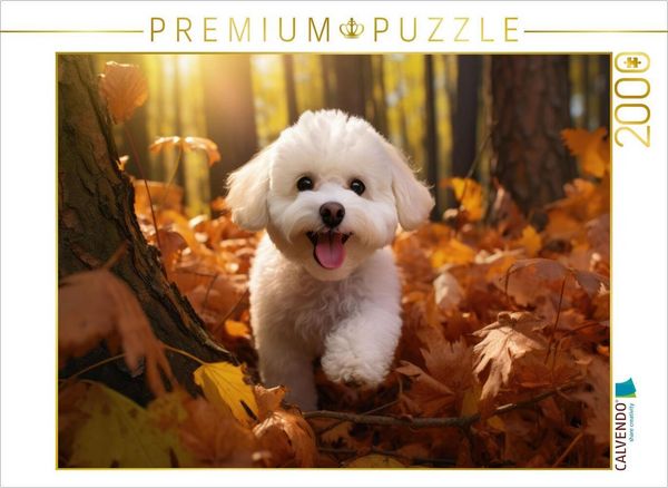 CALVENDO Puzzle Ein Motiv aus dem Kalender 'Bichon frisé, weiße Hündchen mit lockigem Haar' | 2000 Teile Lege-Größe 90x67cm Foto-Puzzle für