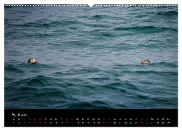 Produktbild: Island - Unber&uuml;hrte Landschaften (Wandkalender 2026 DIN A2 quer), CALVENDO Monatskalender