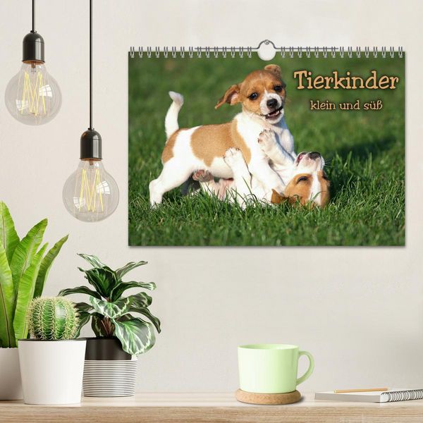 Produktbild: Tierkinder klein und s&uuml;&szlig; (Wandkalender 2026 DIN A4 quer), CALVENDO Monatskalender