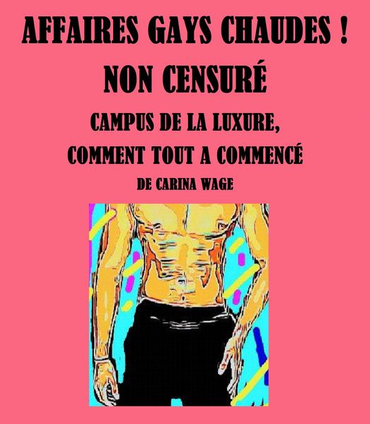 Produktbild: Affaires gays chaudes ! Non censur&eacute;