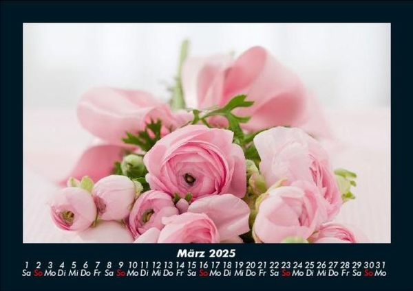 Produktbild: Rosen-Kalender 2025 Fotokalender DIN A5