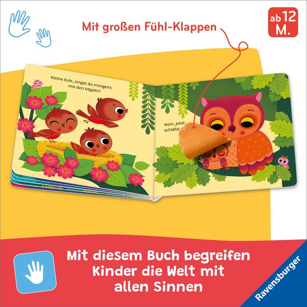 Produktbild: Wo bist du, kleine Eule?