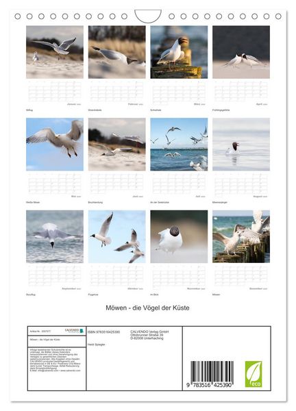 Produktbild: M&ouml;wen - die V&ouml;gel der K&uuml;ste (Wandkalender 2026 DIN A4 hoch), CALVENDO Monatskalender