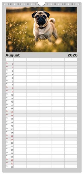 Produktbild: Familienplaner 2026 - M&ouml;pse - quirlige Charmebolzen mit 5 Spalten (Wandkalender, 21 x 45 cm) CALVENDO