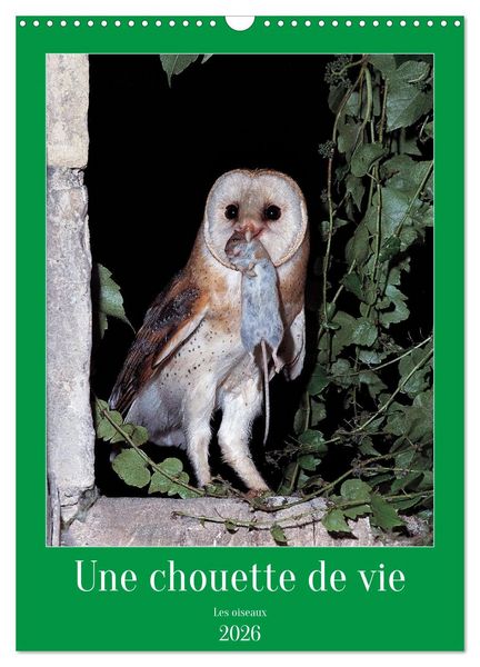 Produktbild: Une chouette de vie, les oiseaux (Calendrier mural 2026 DIN A3 horizontal), CALVENDO calendrier mensuel