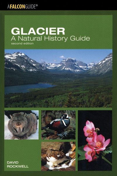 Produktbild: Glacier