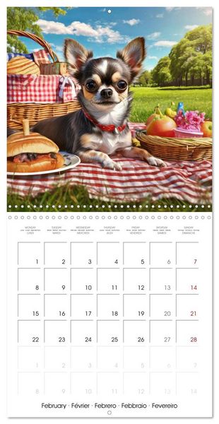Produktbild: Chilling Chihuahuas (Wall Calendar 2027 12 &times; 12 Inch) CALVENDO 12 Month Wall Calendar