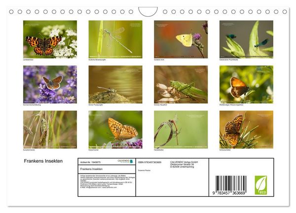 Produktbild: Frankens Insekten (Wandkalender 2026 DIN A4 quer), CALVENDO Monatskalender