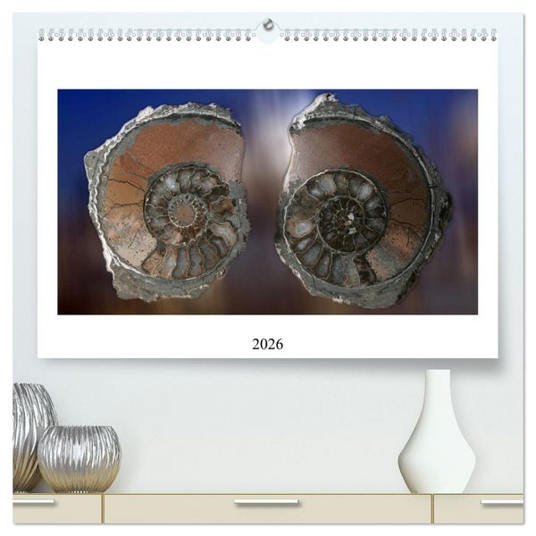 Produktbild: Versteinerte Welt (hochwertiger Premium Wandkalender 2026 DIN A2 quer), Kunstdruck in Hochglanz