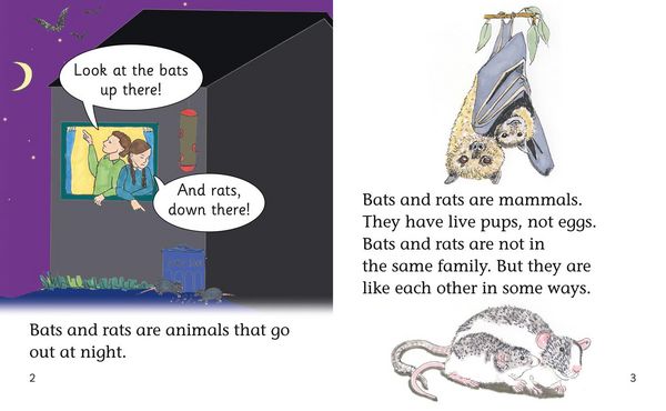 Produktbild: Romano Young, K: Bats and Rats