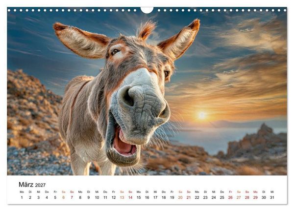 Produktbild: Esel - Humor mit langen Ohren (Wandkalender 2027 DIN A3 quer), CALVENDO Monatskalender
