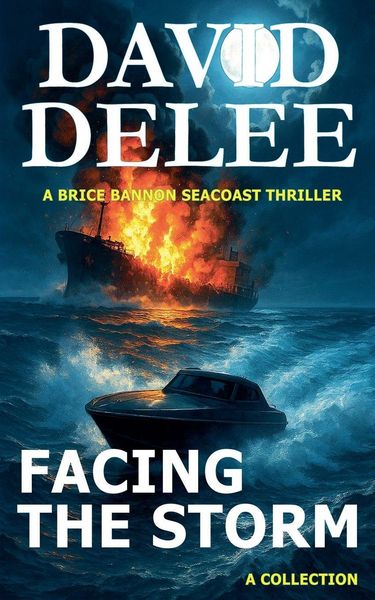 Produktbild: Facing the Storm