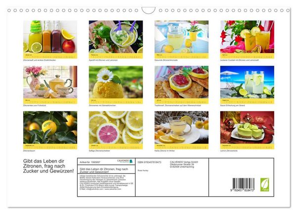 Produktbild: Gibt das Leben dir Zitronen, frag nach Zucker und Gew&uuml;rzen! (Wandkalender 2026 DIN A3 quer), CALVENDO Monatskalender