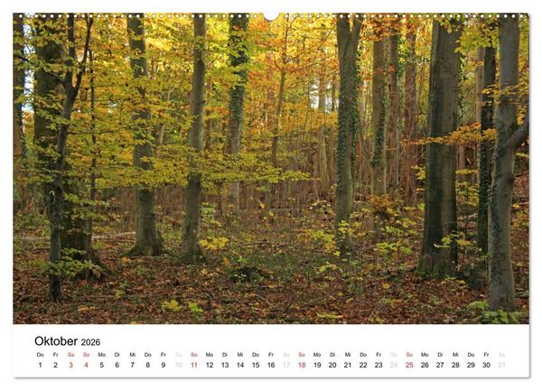 Produktbild: Der Ebersberger Forst und seine Umgebung (hochwertiger Premium Wandkalender 2026 DIN A2 quer), Kunstdruck in Hochglanz