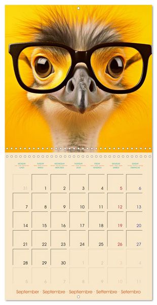 Produktbild: I see you - Animals with glasses (Wall Calendar 2026 12 &times; 12 Inch) CALVENDO 12 Month Wall Calendar