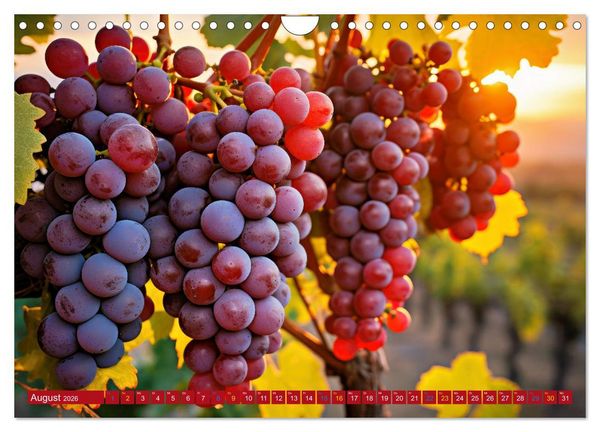 Produktbild: Rebensaft - Weingenuss (Wandkalender 2026 DIN A4 quer), CALVENDO Monatskalender