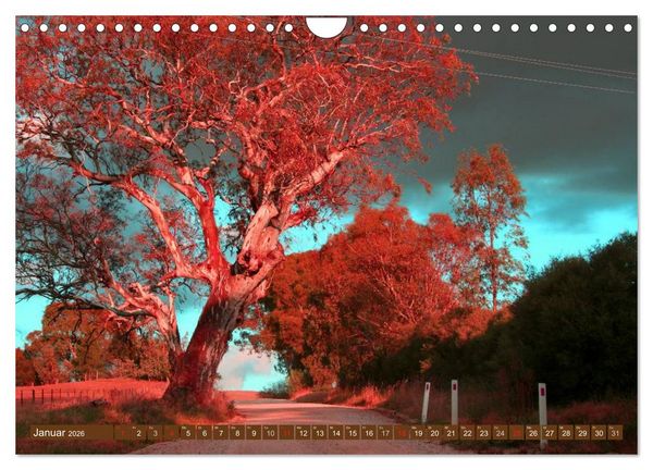 Produktbild: Australien &bull; Impressionen (Wandkalender 2026 DIN A4 quer), CALVENDO Monatskalender