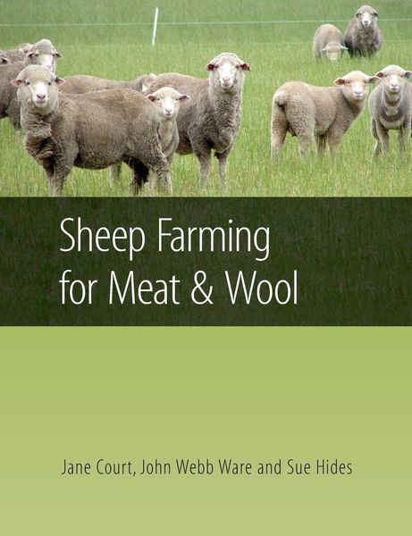 Produktbild: Sheep Farming for Meat and Wool