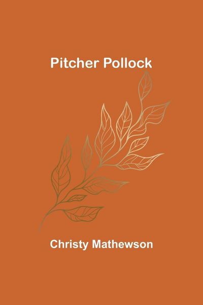 Produktbild: Pitcher Pollock