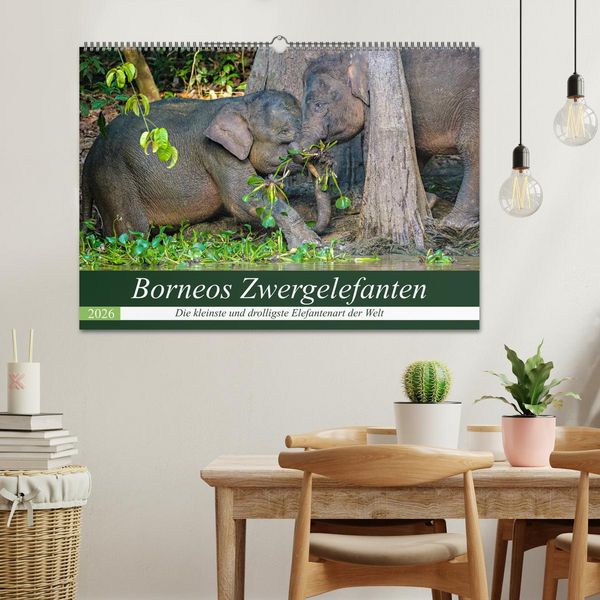 Produktbild: Borneos Zwergelefanten (Wandkalender 2026 DIN A2 quer), CALVENDO Monatskalender