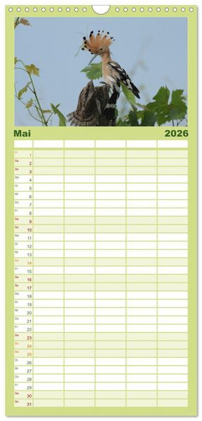 Produktbild: Familienplaner 2026 - Der Wiedehopf mit 5 Spalten (Wandkalender, 21 x 45 cm) CALVENDO