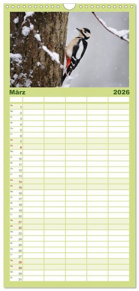 Produktbild: Familienplaner 2026 - V&ouml;gel mit 5 Spalten (Wandkalender, 21 x 45 cm) CALVENDO